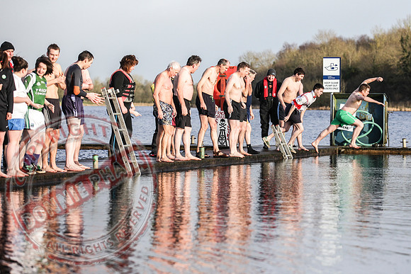 Galloon Island Charity Swim on New Year's Day.