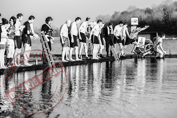 Galloon Island Charity Swim on New Year's Day.