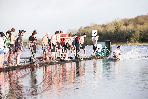 Galloon Island Charity Swim on New Year's Day.