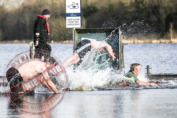 Galloon Island Charity Swim on New Year's Day.