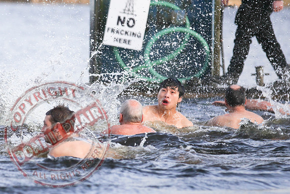 Galloon Island Charity Swim on New Year's Day.