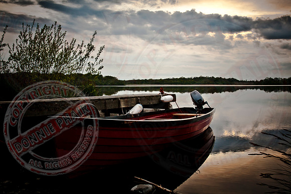 Scenery at Crom Castle, Co. Fermanagh.