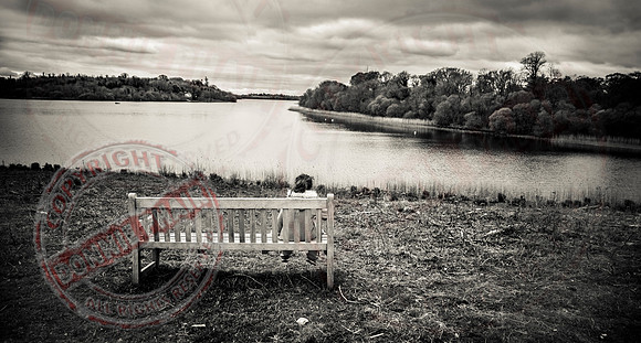 The Bench and Trial Bay
