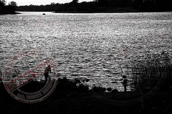 Down by the Lough-side