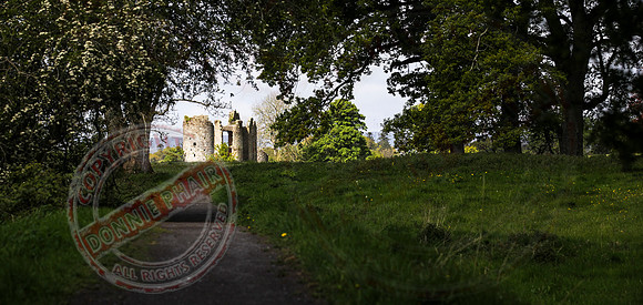 The Ruins of Old Crom Castle.