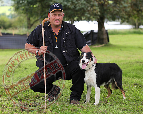 Sheepdog Trials in Belcoo.