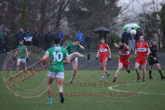 Fermanagh (1-04) V Derry (0-11) in Dr McKenna Cup-12