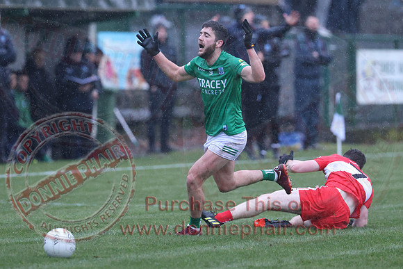 Fermanagh (1-04) V Derry (0-11) in Dr McKenna Cup-31
