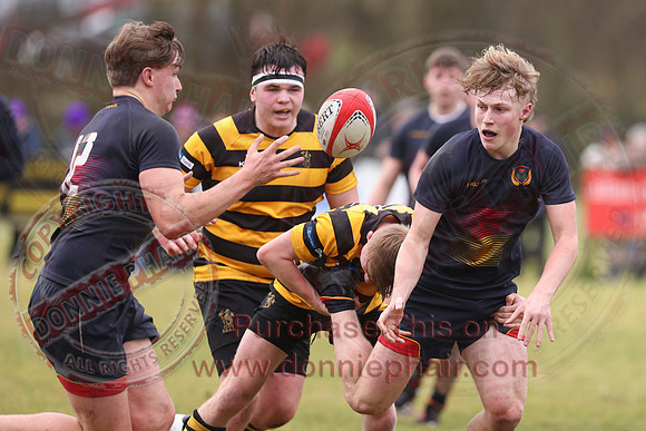 Enniskillen Royall GS 1st AX (13) V RBAI 1st XV (29) in Schools Cup Rugby-25