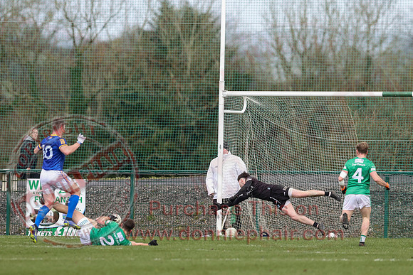 Fermanagh (0-15) V Lonford (0-08) in National GAA Football League Division Three-41