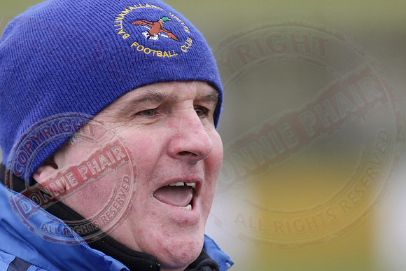 Ballinamallard United FC (4) V Dungannon Swifts (0) in IFA Premiership.