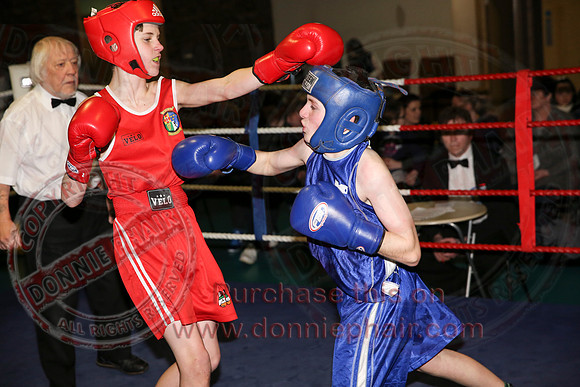 Erne Boxing Club Open Boxing Tournament