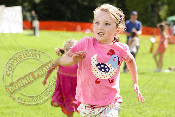 Florencecourt House Fun Day.