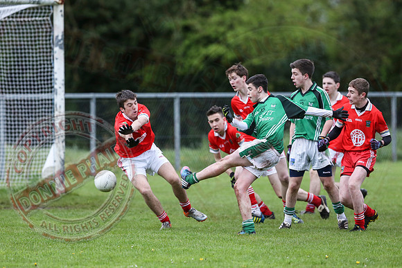 Newtownbutler First Fermanagh's (2-08) V Roslea (2-7) in Minor GAA League Division Three Final