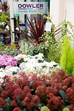 Dowlers Home Decor and Garden, Lisnaskea.