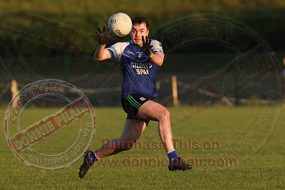 Newtownbutler (0-06) V Devenish (3-12)  in Club Players Competition 2A-14
