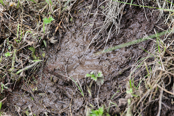 Water Leak in Garden - 10/06/13