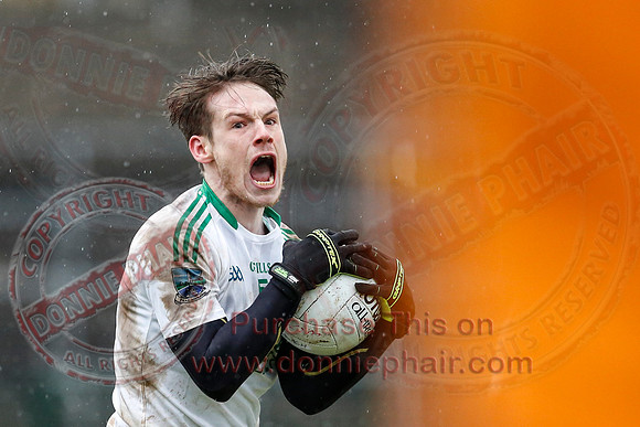 Fermanagh (0-10) V Meath (0-6) in Allianz Divison 2 Football League, Round 2.