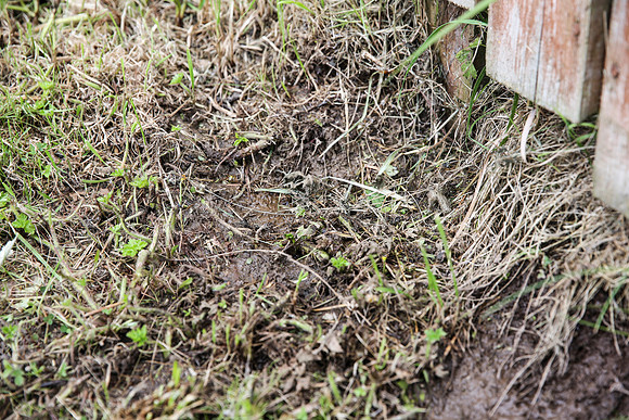 Water Leak in Garden - 10/06/13