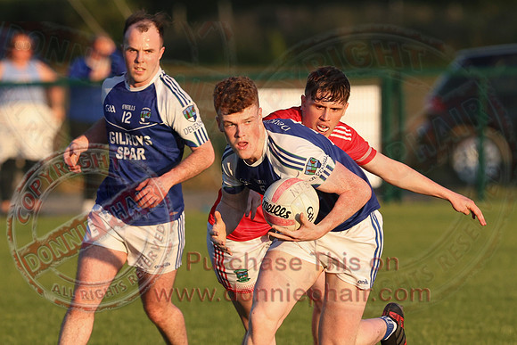 Newtownbutler (0-06) V Devenish (3-12)  in Club Players Competition 2A-6
