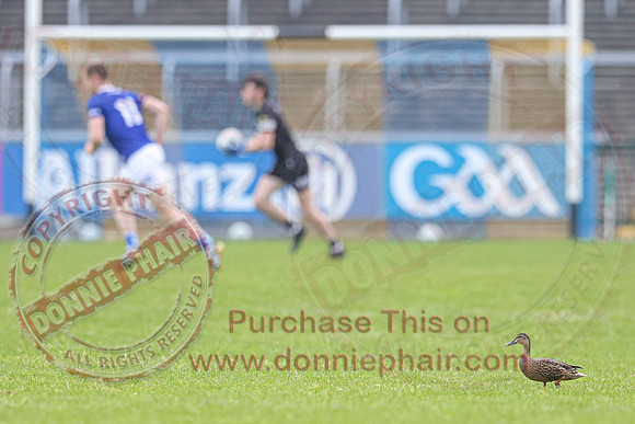 Fermanagh (1-09) V Laois (1-11) in Tailteann Cup Preliminary Quarter Final-74