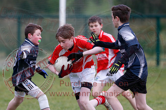 Aghadrumsee (3-10) V Newtownbutler (3-14) in U14 GAA Football League Section A.