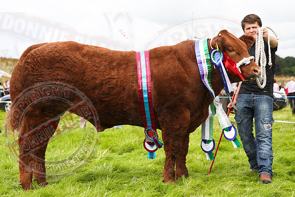 Fermanagh County Show