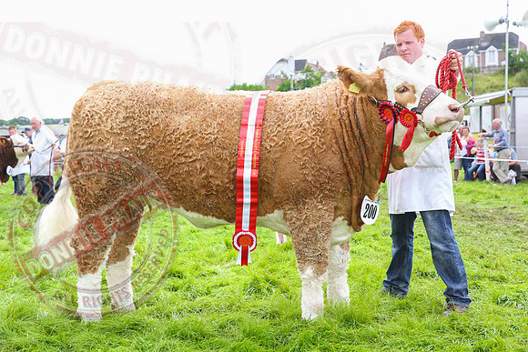 Fermanagh County Show
