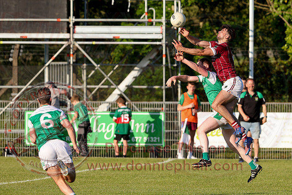 Roslea (1-08) V Tempo (0-08) in Club Players Competition 2B-1