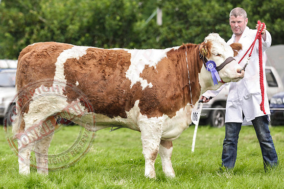 Fermanagh County Show