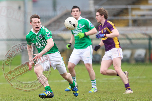 Fermanagh (2-20) V Wexford (3-8) in Allianz National Football League Division 3.