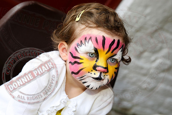 Florencecourt House Fun Day.