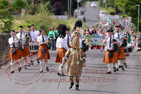 Fermanagh Fleadh Parade in Roslea-9