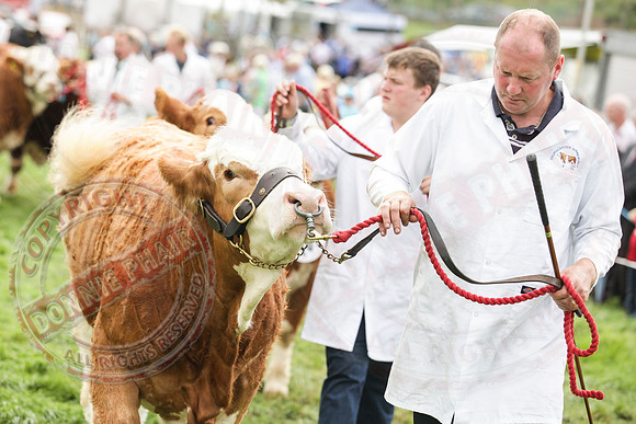 Fermanagh County Show