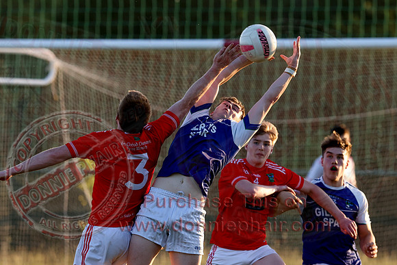 Newtownbutler (0-06) V Devenish (3-12)  in Club Players Competition 2A-11
