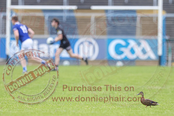 Fermanagh (1-09) V Laois (1-11) in Tailteann Cup Preliminary Quarter Final-75