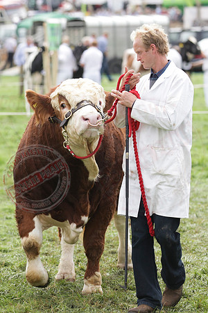 Fermanagh County Show