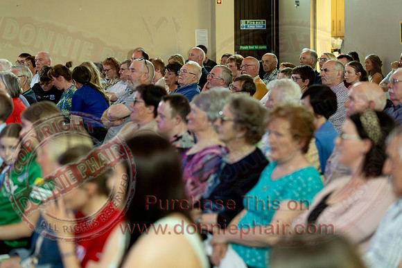 Fermanagh Fleadh Concert in Roslea-9