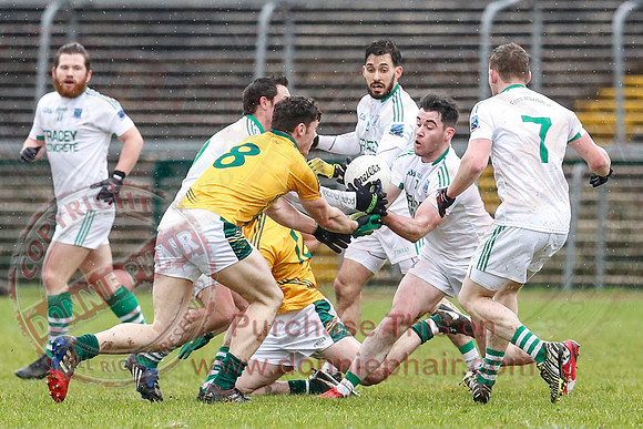 Fermanagh (0-10) V Meath (0-6) in Allianz Divison 2 Football League, Round 2.