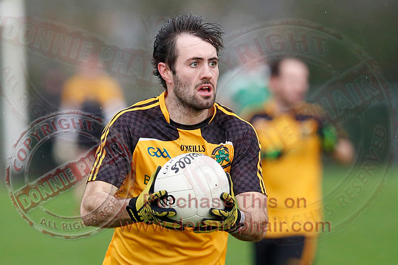 Erne Gaels (0-9) V Roslea (2-9) in Senior GAA Football League Division 1.-29