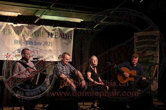 Fermanagh Fleadh Concert in Roslea-43