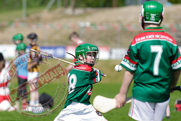 Opening of Lisnaskea GAA Emmetts Second Field - Youth Hurley.