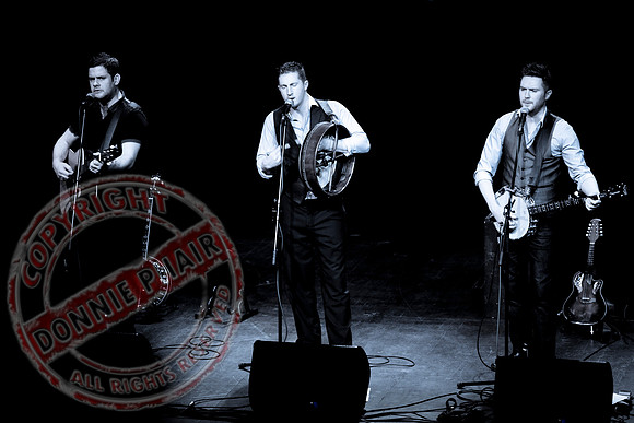 The Kilkennys