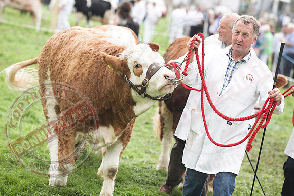Fermanagh County Show
