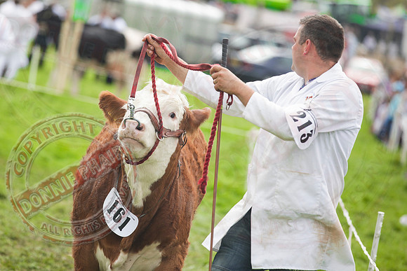 Fermanagh County Show