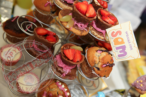 Teaparty for Sam.  (Together For Sam).