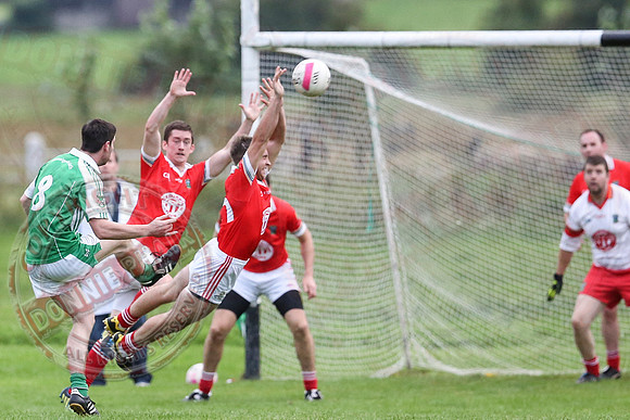 Roslea (1-12) V Newtownbutler (0-9) in Senior GAA Championship