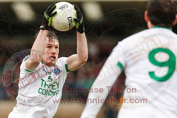 Fermanagh (0-10) V Meath (0-6) in Allianz Divison 2 Football League, Round 2.