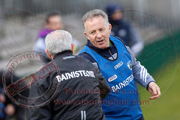 Fermanagh (1-17) V Laois (0-10) in Senior GAA Football League Division 2.