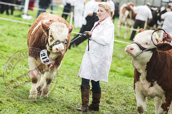 Fermanagh County Show
